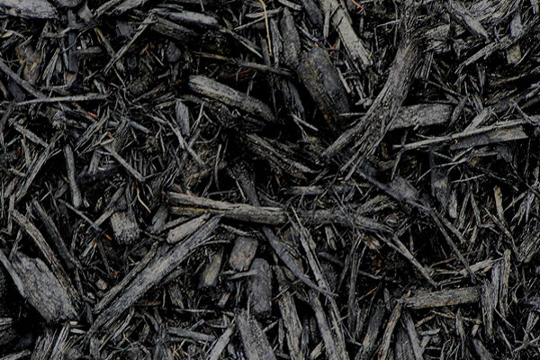 Black-Mulch