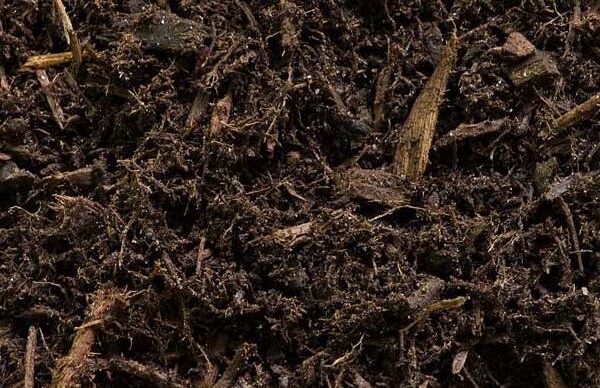 Dark-Brown-Mulch